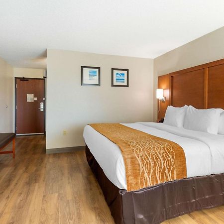 Comfort Inn & Suites Milford Kamer foto